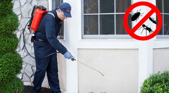 Eyyübiye Dezenfeksiyon böcek ilaçlama ve haşere kontrolü — ilaclama-tr.com